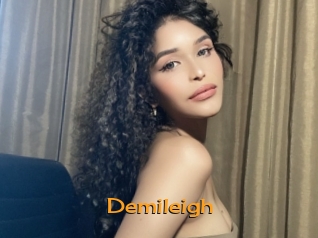 demileigh Sortez Couvert