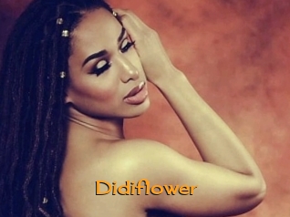 Didiflower