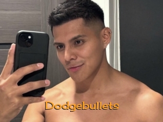 Dodgebullets