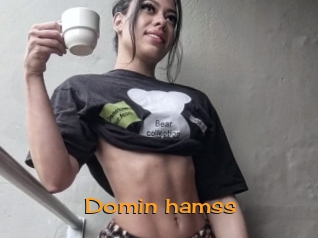 Domin_hamss