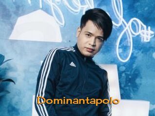 Dominantapolo