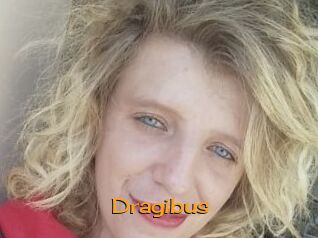 Dragibus