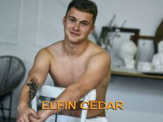 ELFIN_CEDAR