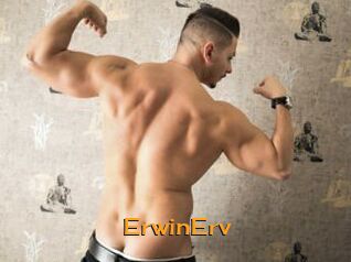 ErwinErv