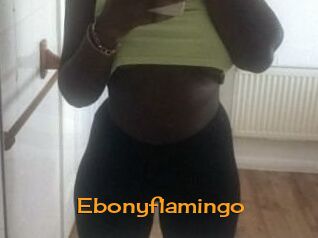 Ebony_flamingo