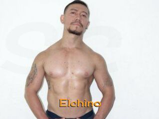 Elchino