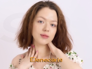 Elenecaris
