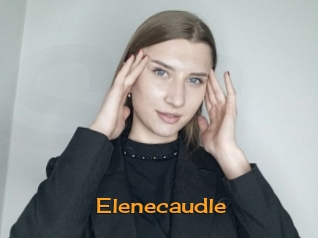 Elenecaudle
