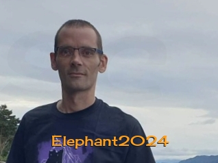 Elephant2024