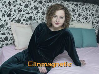 Elinmagnetic