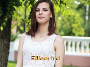 ellieorhid Sortez Couvert