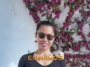 ellisville23 Sortez Couvert