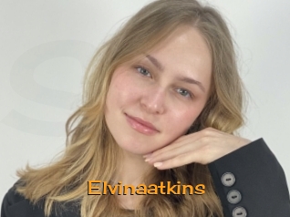 Elvinaatkins