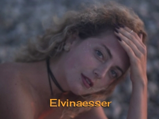 Elvinaesser