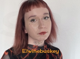 Elwinebuskey