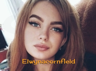 Elwynacornfield