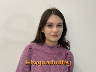 Elwynadudley