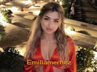 emiliamernez Sortez Couvert