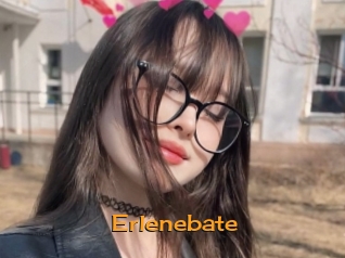 Erlenebate