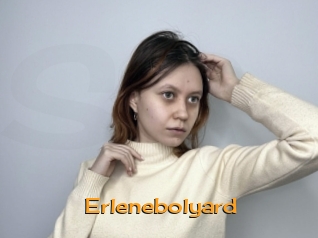 Erlenebolyard