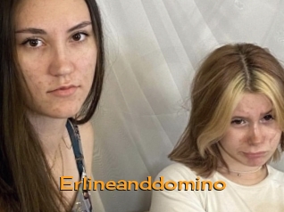 Erlineanddomino