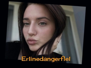 Erlinedangerfiel