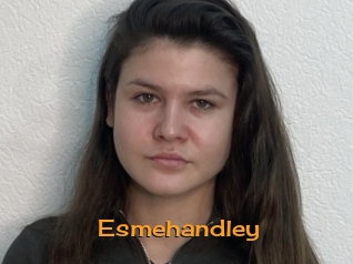 Esmehandley