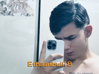 Ethaanbull18