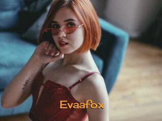 Evaafox