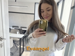 Evaangel