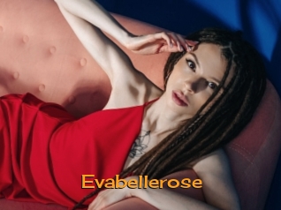 Evabellerose