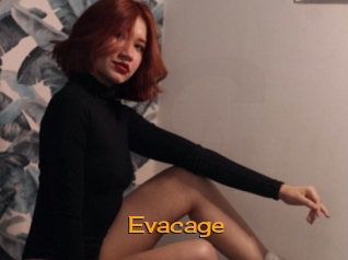 Evacage
