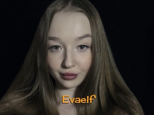 evaelf Sortez Couvert