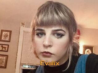 Evalix