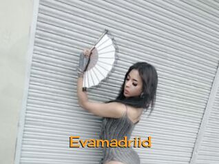Evamadriid