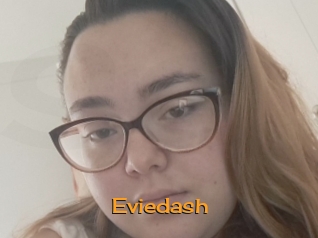 Eviedash