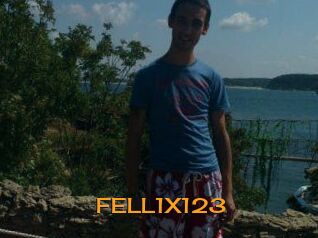 FELL1X123