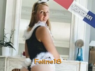 Feline18