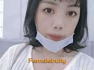 Femalebully