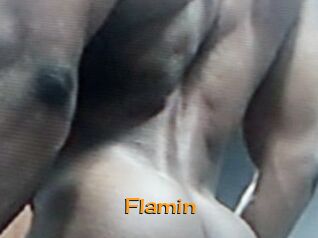 Flamin