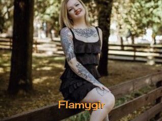 Flamygir
