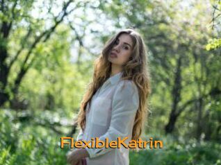 FlexibleKatrin