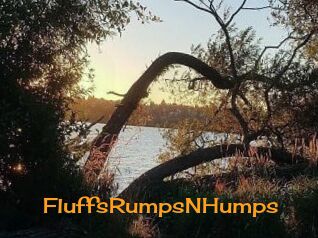 FluffsRumpsNHumps