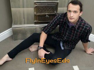 FlyInEyesEds