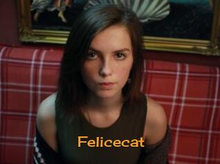 Felicecat
