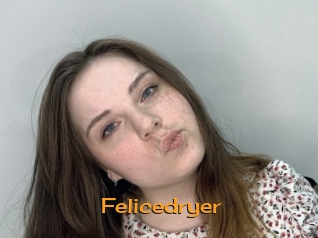 Felicedryer