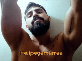Felipegamarraa