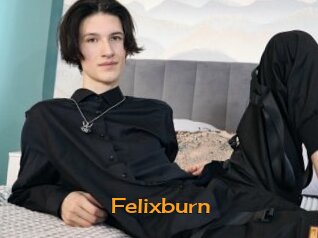 Felixburn