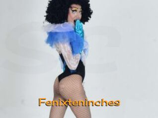 Fenixteninches