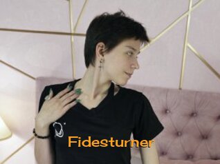 Fidesturner